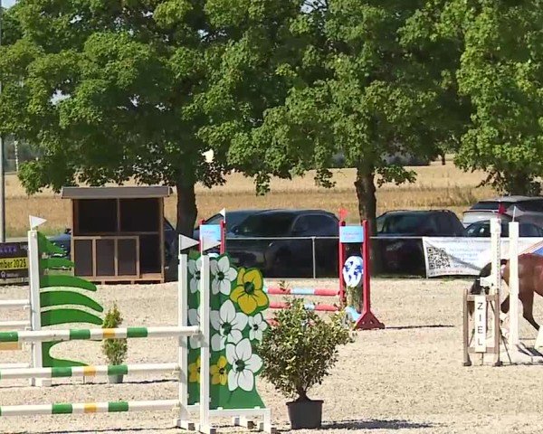 Reitturnier Rot am See- Musdorf 2025