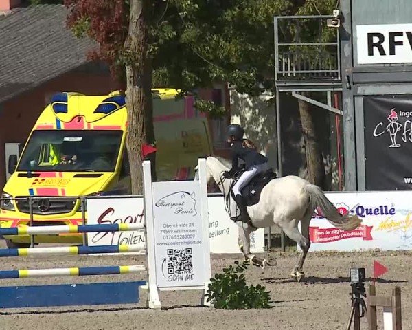 Reitturnier Rot am See- Musdorf 2025