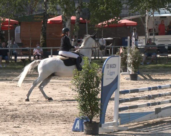 Reitturnier Herbern 2025