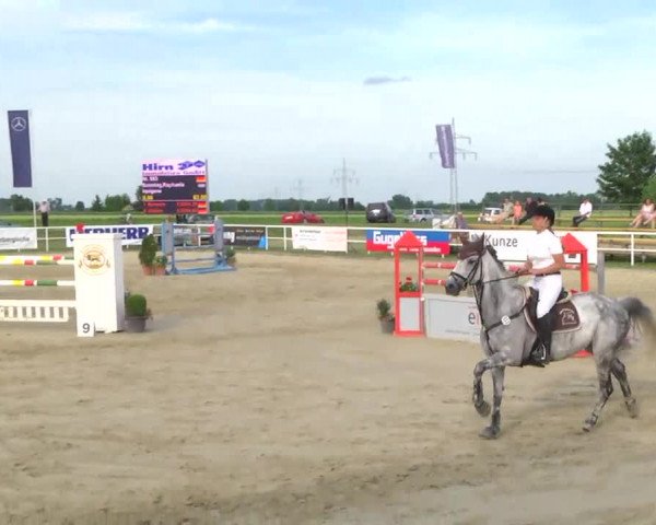 Großes Langenauer Reitturnier 2014