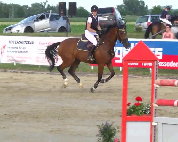 Großes Langenauer Reitturnier 2014