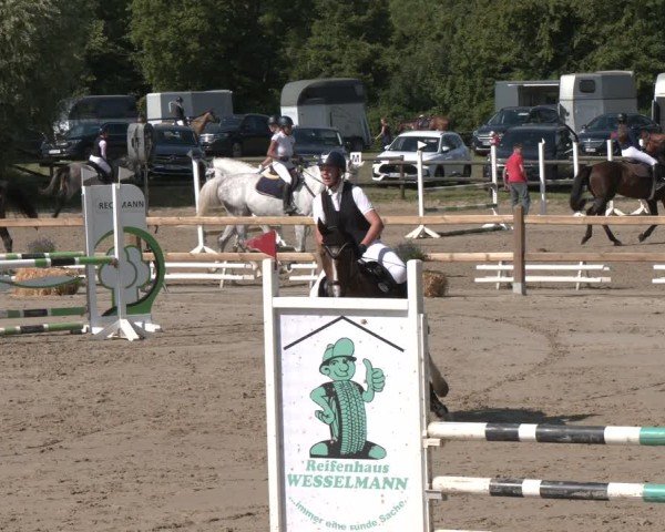 Reitturnier Herbern 2025