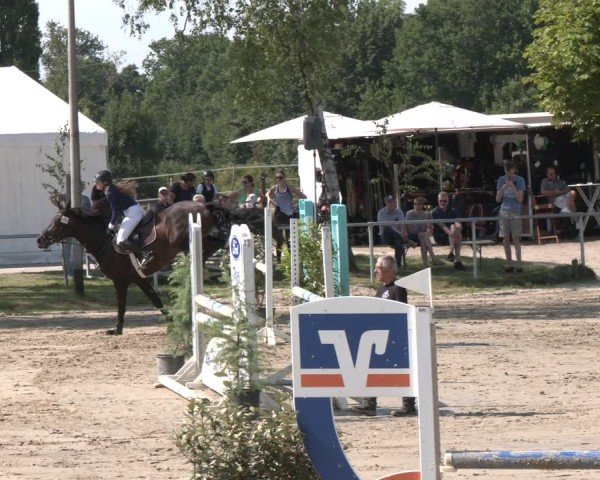 Reitturnier Herbern 2025