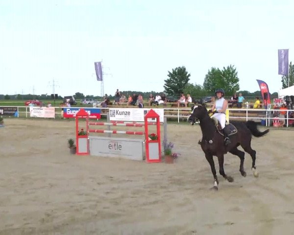 Großes Langenauer Reitturnier 2014