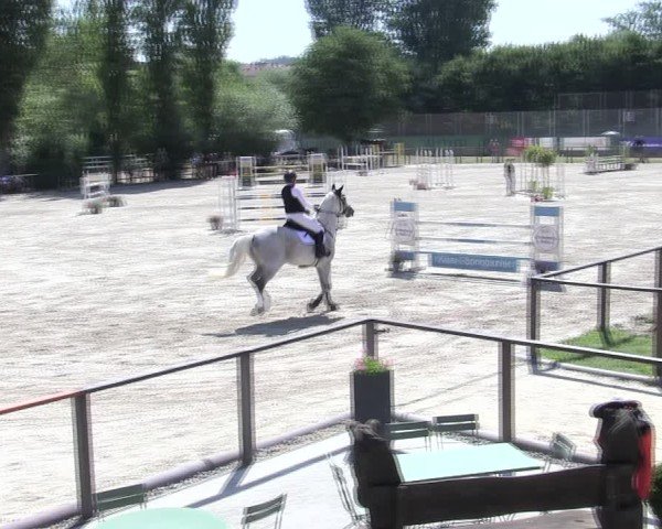 Reitturnier Würzburg/Ufr. 2025