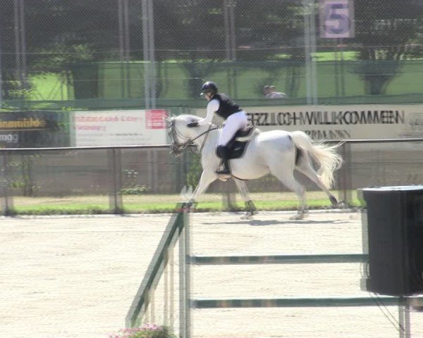 Reitturnier Würzburg/Ufr. 2025