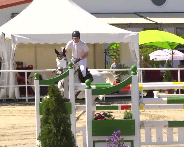 Großes Langenauer Reitturnier 2014