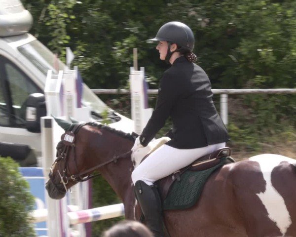 Reitturnier Heiligenwald 2025