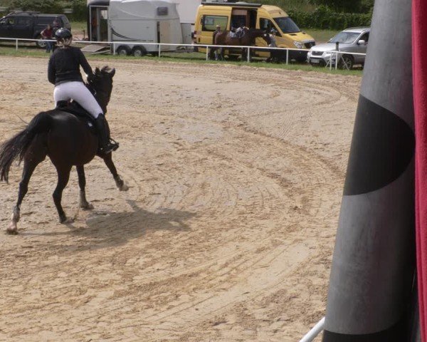 Reitturnier Heiligenwald 2025
