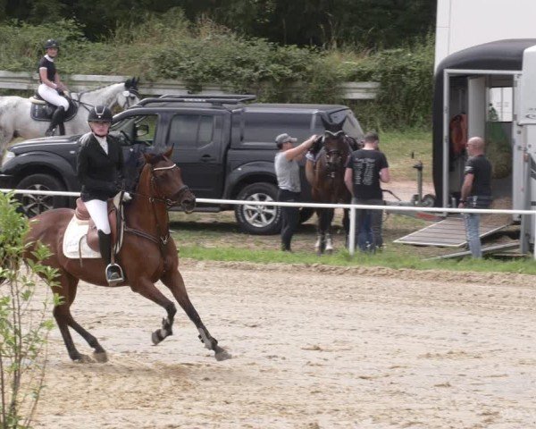 Reitturnier Heiligenwald 2025
