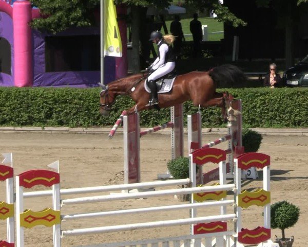 Reitturnier Neustadt/Dosse 2025