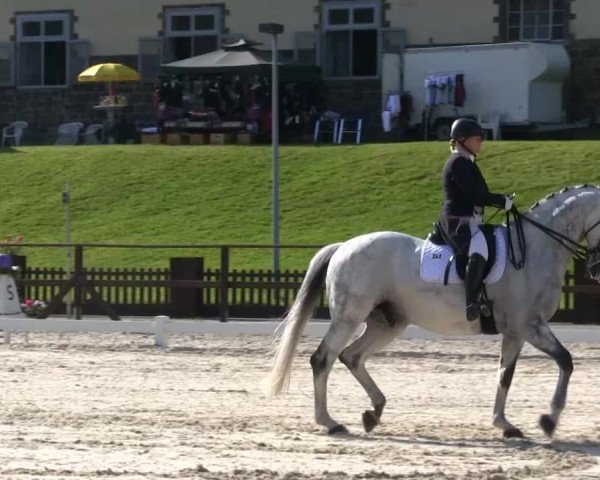 Iserlohner Pfingst-Dressurtage 2014
