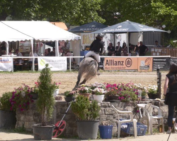 Reitturnier Heiligenwald 2025