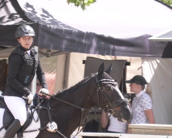 Reitturnier Heiligenwald 2025