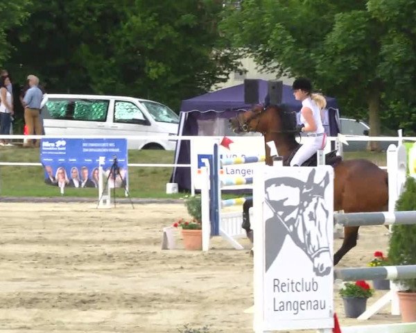 Großes Langenauer Reitturnier 2014