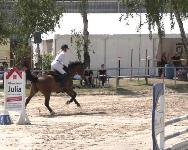 Reitturnier Herbern 2025