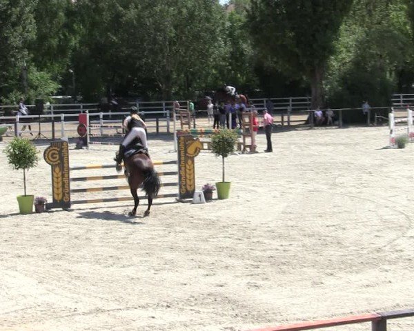 Reitturnier Würzburg/Ufr. 2025