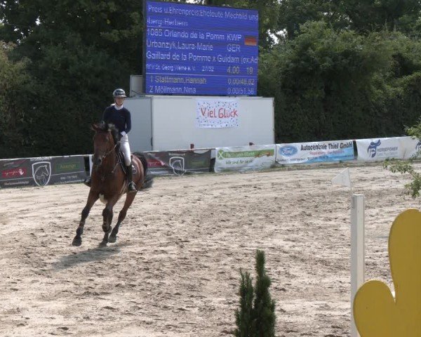 Reitturnier Herbern 2025