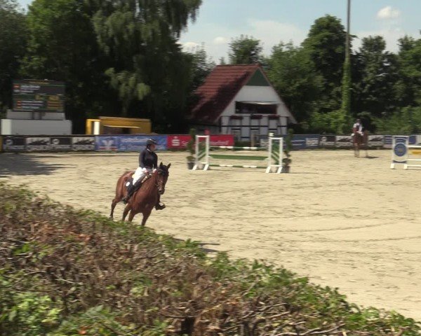 Reitturnier Vlotho-Exter 2025