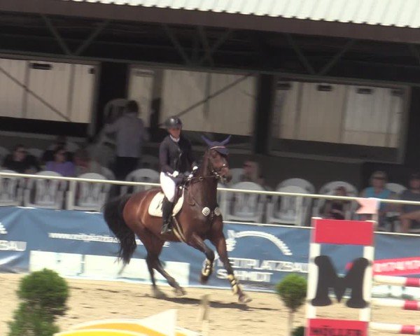 Reitturnier Vlotho-Exter 2025