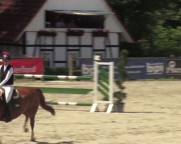 Reitturnier Vlotho-Exter 2025