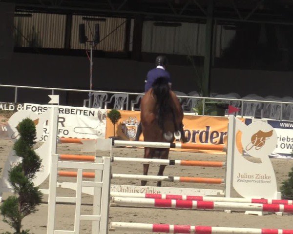 Reitturnier Vlotho-Exter 2025
