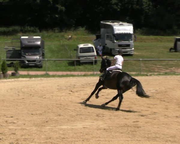 Reitturnier Bad Liebenstein/Sorga 2025