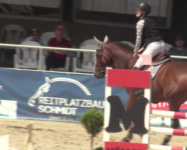 Reitturnier Vlotho-Exter 2025