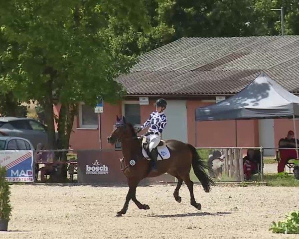 Reitturnier Rot am See- Musdorf 2025