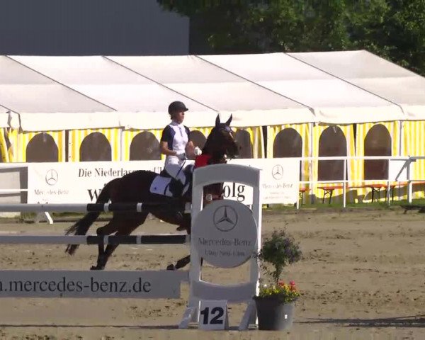 Großes Langenauer Reitturnier 2014