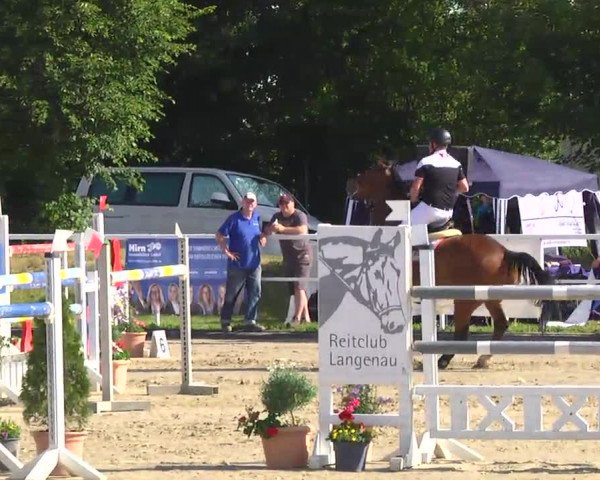 Großes Langenauer Reitturnier 2014