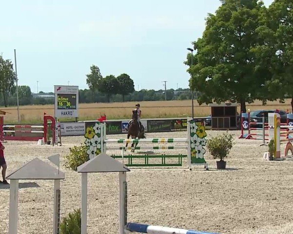 Reitturnier Rot am See- Musdorf 2025