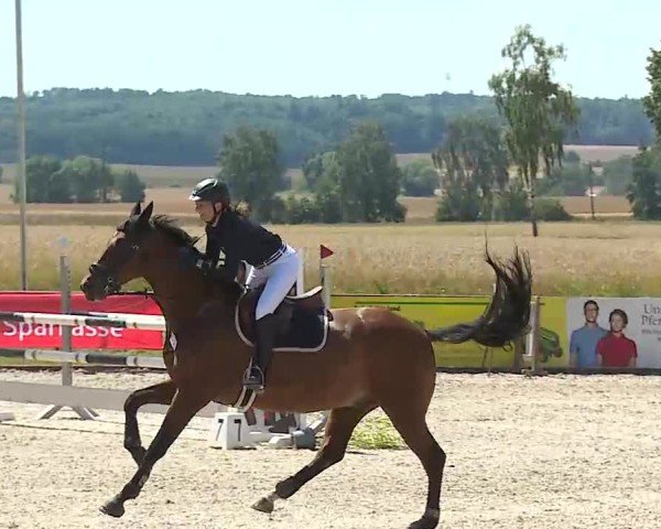 Reitturnier Rot am See- Musdorf 2025