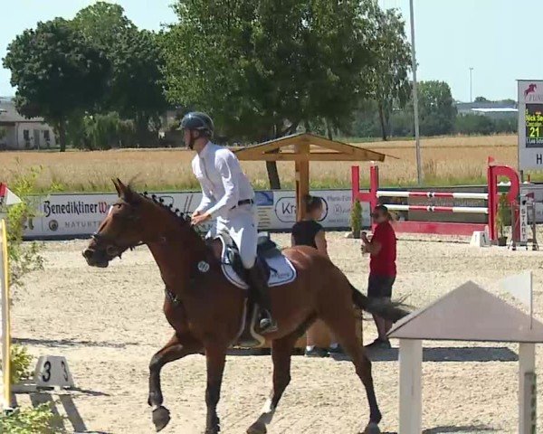 Reitturnier Rot am See- Musdorf 2025