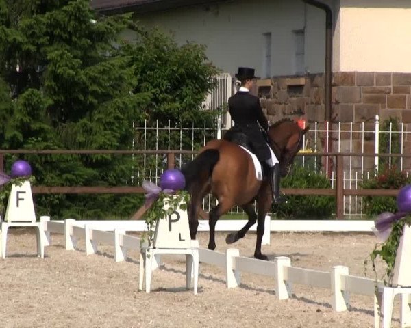 Iserlohner Pfingst-Dressurtage 2014