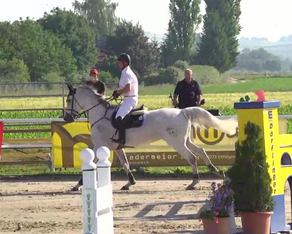Großes Langenauer Reitturnier 2014
