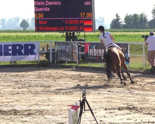 Großes Langenauer Reitturnier 2014