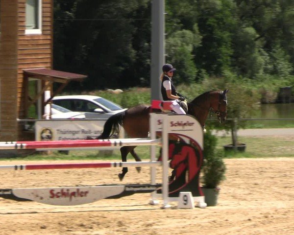 Reitturnier Bad Liebenstein/Sorga 2025