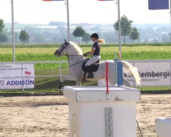 Großes Langenauer Reitturnier 2014
