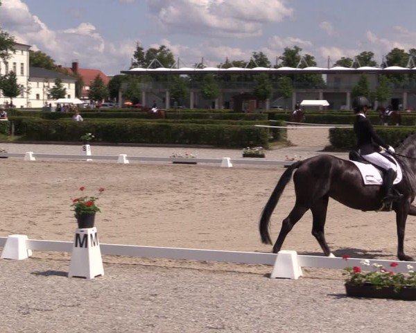 Reitturnier Neustadt/Dosse 2025