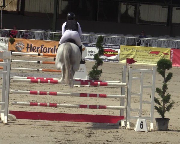 Reitturnier Vlotho-Exter 2025
