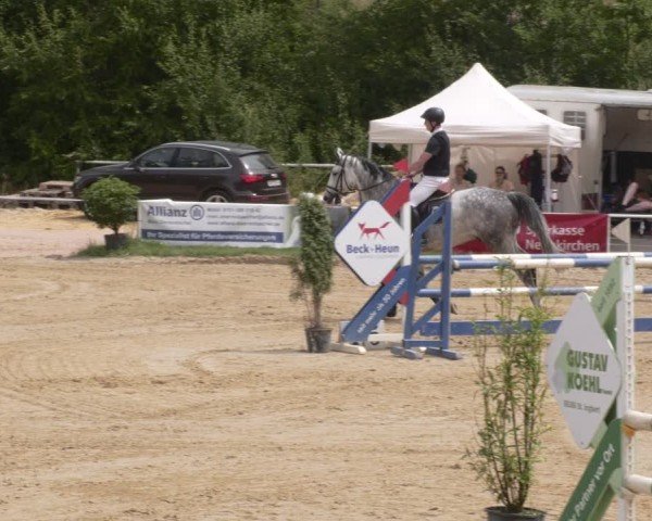 Reitturnier Heiligenwald 2025