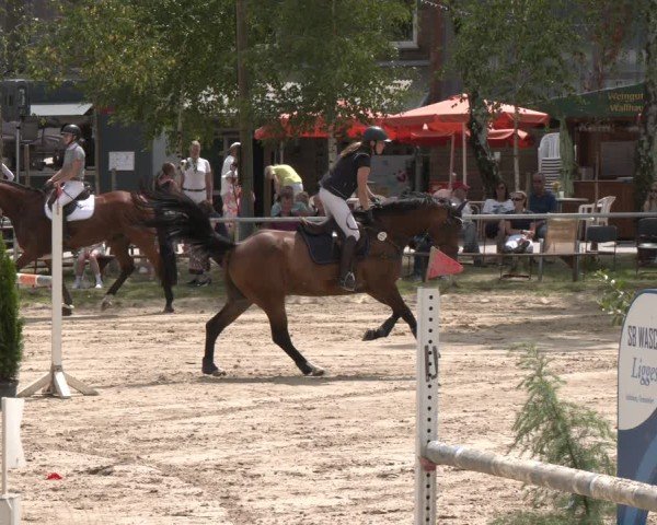 Reitturnier Herbern 2025