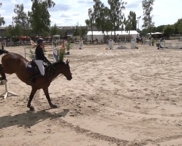 Reitturnier Herbern 2025