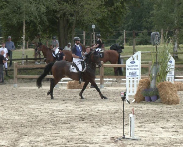 Reitturnier Herbern 2025