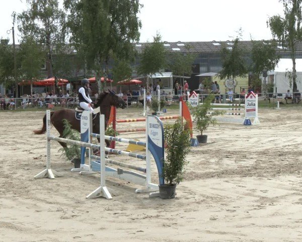 Reitturnier Herbern 2025