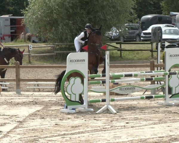 Reitturnier Herbern 2025