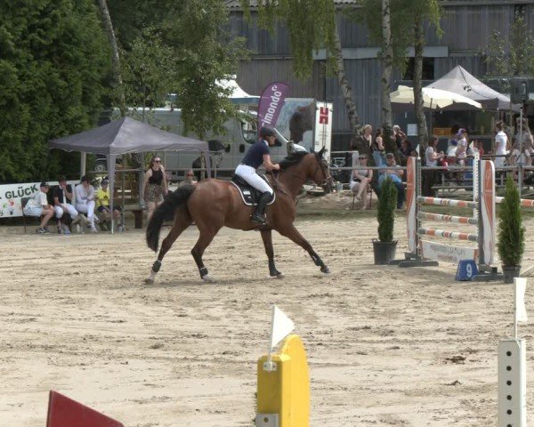 Reitturnier Herbern 2025