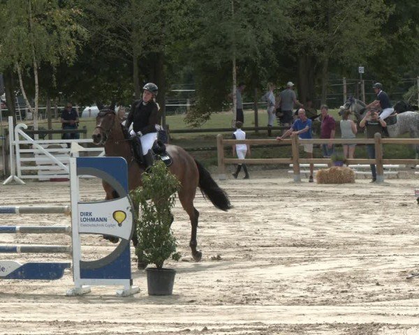 Reitturnier Herbern 2025