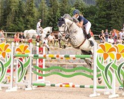jumper Clenot (Westphalian, 2017, from Coupie)